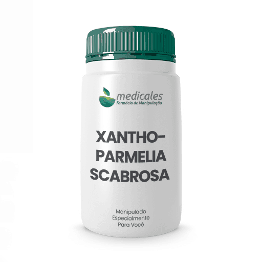 Xanthoparmelia Scabrosa